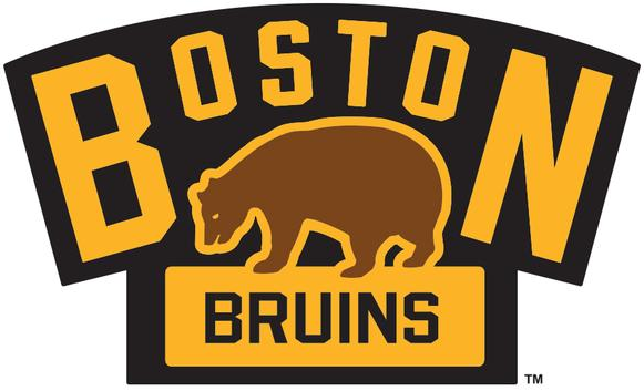 Boston Bruins 2016 Event Logo fabric transfer
